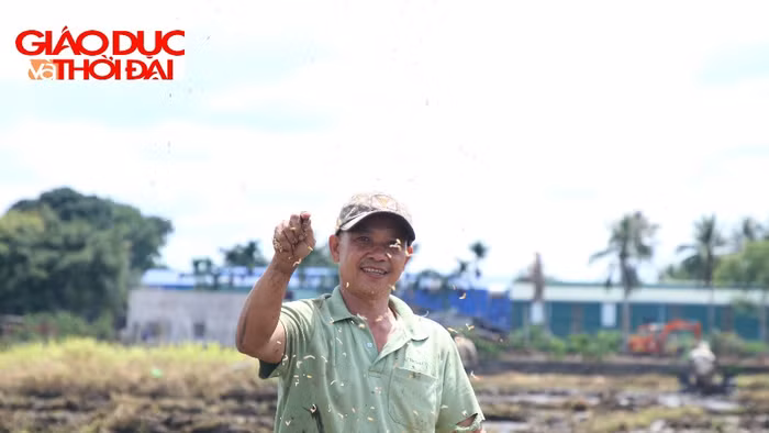 Nông dân Đắk Lắk gieo lúa vụ Hè Thu 2026.
