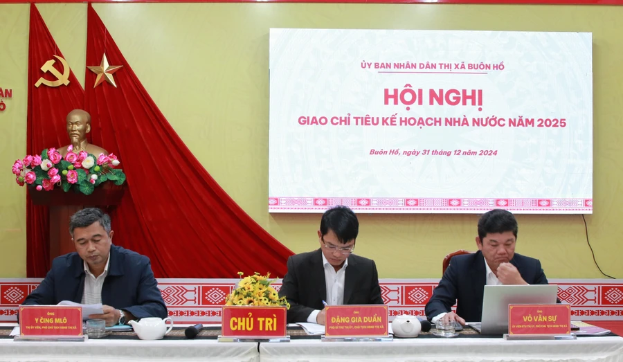 Chủ trì Hội nghị. (Ảnh: TT)