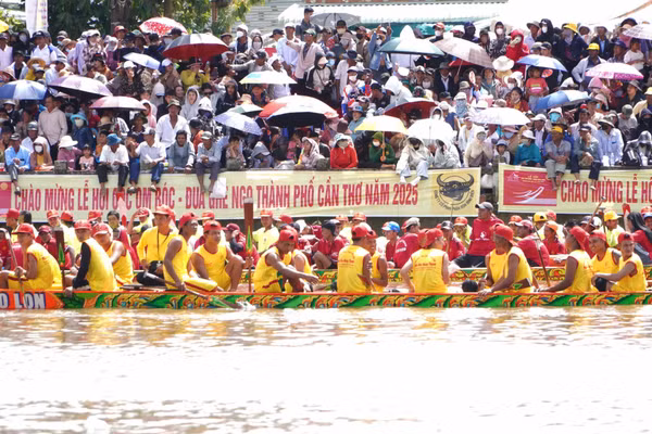 Sôi nổi Giải đua ghe Ngo TP Cần Thơ năm 2025.