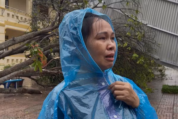 Bà Võ Thị Mỹ Tân - Hiệu trưởng Trường Tiểu học Mai Phụ (xã Mai Phụ, Hà Tĩnh).