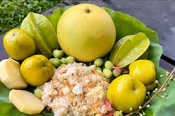 Bưởi Phúc Trạch -thức quả đặc trưng mùa thu của miền núi Hà Tĩnh.