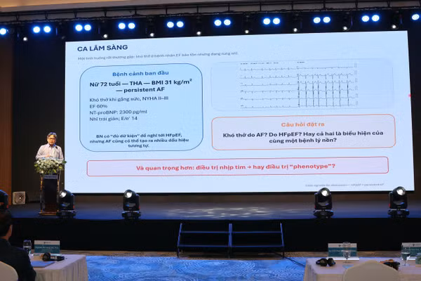 Chuyên gia chia sẻ tại hội nghị.