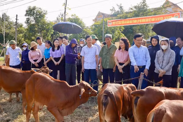 Hơn 800 mô hình sinh kế được triển khai đến các hộ có hoàn cảnh khó khăn tại Hà Tĩnh.