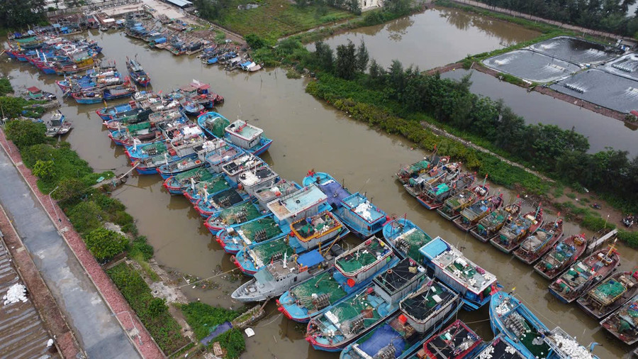 Khu neo đậu tàu thuyền tại cảng cá Ninh Cơ (Ninh Bình).