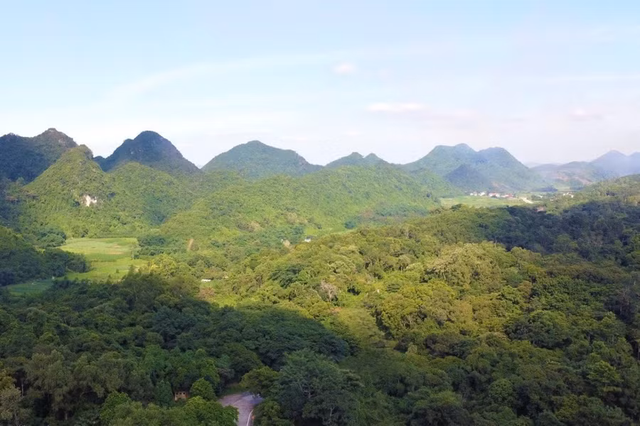 Vùng lõi Vườn quốc gia Cúc Phương nơi xảy ra vụ mất tích của anh Mạnh.