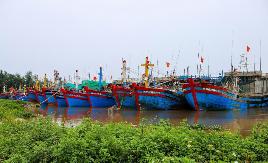 Khu neo đậu tàu thuyền tại cảng cá Ninh Cơ (Ninh Bình).