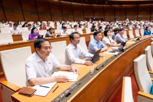 Các đại biểu tham dự phiên chất vấn và trả lời chất vấn tại hội trường sáng 19/6. (Ảnh: Cổng TTĐT Quốc hội).