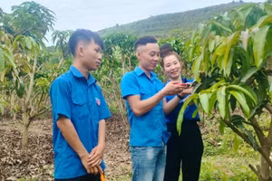 Chị Hoàng Thị Hải chia sẻ kinh nghiệm trồng xoài cho đoàn viên thanh niên trong xã Chiềng Hặc.