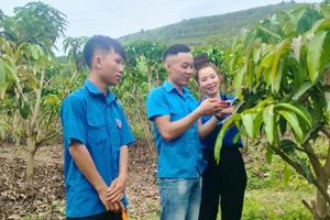 Chị Hoàng Thị Hải chia sẻ kinh nghiệm trồng xoài cho đoàn viên thanh niên trong xã Chiềng Hặc.