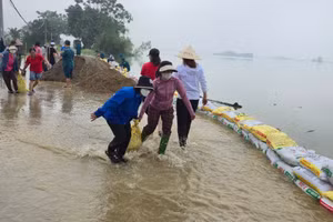 Các thầy cô cùng người dân và các lực lượng khác tích cực tham gia đắp đê chống lũ khi có lệnh từ cấp trên. 