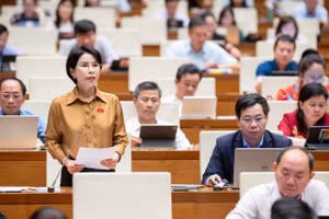 Đại biểu Trần Thị Nhị Hà góp ý về Dự thảo Luật Thanh tra sửa đổi tại Quốc hội sáng 22/5. (Ảnh: Cổng TTĐT Quốc hội)