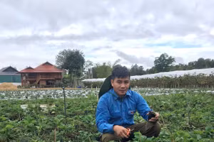 Anh Lường Văn Thành và mô hình nông nghiệp kết hợp du lịch trải nghiệm. Ảnh: NVCC