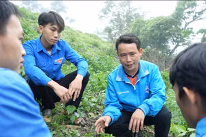 Nhóm thanh niên được anh Lầu A Vàng dẫn đi tham quan nương dâu. Ảnh: Ban Tuyên giáo và Dân vận tỉnh Cao Bằng