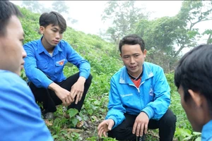 Nhóm thanh niên được anh Lầu A Vàng dẫn đi tham quan nương dâu. Ảnh: Ban Tuyên giáo và Dân vận tỉnh Cao Bằng