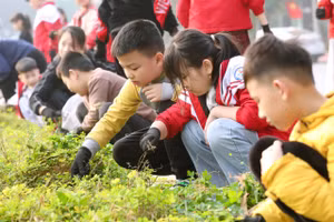 Học sinh tham gia hoạt động trải nghiệm "Tiết học xanh" với nhiều việc làm thiết thực.