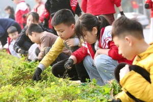 Học sinh tham gia hoạt động trải nghiệm "Tiết học xanh" với nhiều việc làm thiết thực.