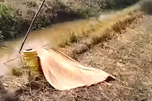 Hiện trường vụ tai nạn.