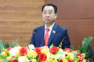 Chủ tịch UBND tỉnh Cà Mau Lữ Quang Ngời.