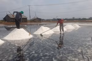 Festival nghề muối Việt Nam - Bạc Liêu năm 2024 có nhiều hoạt động quan trọng