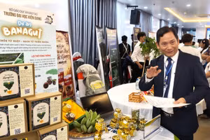 Dự án Banagut - khỏe từ ruột, sạch từ thiên nhiên của Trường Đại học Kiên Giang đạt giải Nhất bảng sinh viên.