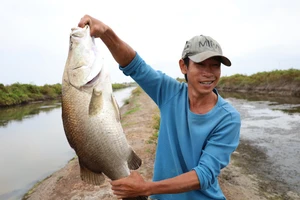 Một người dân khoe chiến lợi phẩm bắt được.