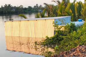 Căn nhà ở Cà Mau sụp xuống sông do sạt lở.