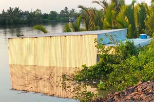 Căn nhà ở Cà Mau sụp xuống sông do sạt lở.