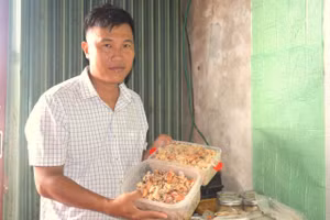 Tiến sĩ Nguyễn Việt Bắc giới thiệu sản phẩm chế biến từ cua.