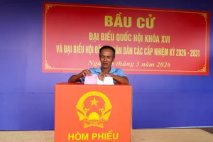 Cử tri Cà Mau tham gia bỏ phiếu bầu cử.