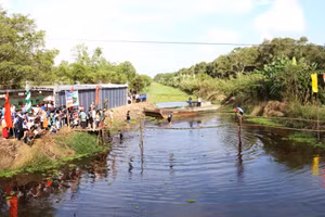 Thử thách đi cầu khỉ trong rừng.