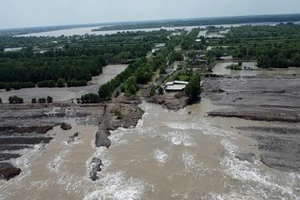 Sạt lở bờ sông, bờ biển ở Cà Mau ngày càng diễn biến phức tạp. 