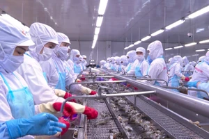 Xuất khẩu thủy sản được xem là thế mạnh của tỉnh Cà Mau.