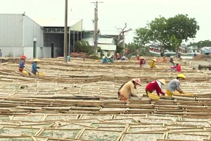 Tỉnh Cà Mau tạo điều kiện cho đồng bào DTTS được học nghề, có việc làm ổn định.