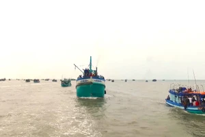 Tàu cá hoạt động trên vùng biển Cà Mau.