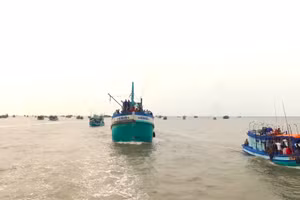 Tàu cá hoạt động trên vùng biển Cà Mau.