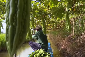 Thoát nghèo từ nguồn vốn vay tín dụng chính sách