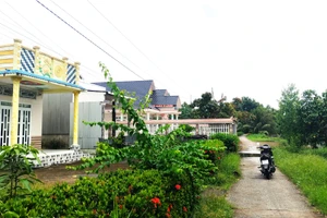 Vùng đồng bào DTTS xã Tân Lộc, Cà Mau khởi sắc nhờ sự hỗ trợ, đầu tư từ chương trình.