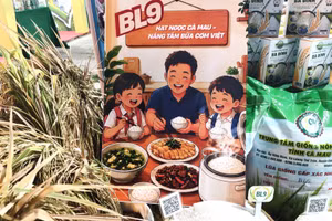 Giống lúa BL9 là kết quả quá trình nghiên cứu, lai tạo của Trung tâm Giống Nông nghiệp tỉnh Cà Mau.