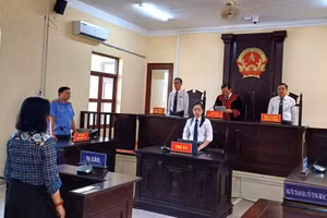 HĐXX TAND khu vực 1, tỉnh Cà Mau tuyên án bị cáo Âu Ngọc Vững.