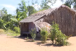 Mục tiêu tỉnh Cà Mau đặt ra là xóa 3.995 căn nhà tạm, nhà dột nát.