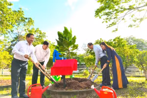 Lãnh đạo tỉnh Cà Mau trồng cây bàng vuông trong Khu tưởng niệm Chủ tịch Hồ Chí Minh (TP Cà Mau).