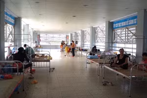 Ngành Y tế Cà Mau đang triển khai các biện pháp giám sát dịch viêm não mô cầu.