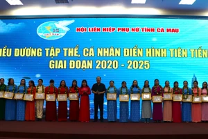 Các tập thể được tuyên dương điển hình tiên tiến.