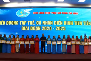 Các tập thể được tuyên dương điển hình tiên tiến.