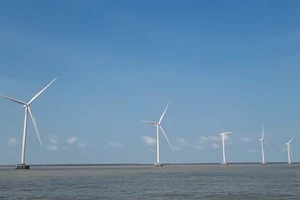 Cà Mau có 16 dự án điện gió đang vận hành khai thác.