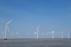 Cà Mau có 16 dự án điện gió đang vận hành khai thác.