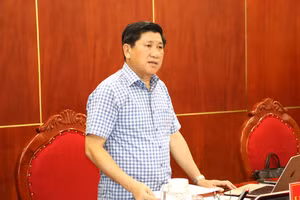 Ông Lê Văn Sử, Phó Chủ tịch UBND tỉnh Cà Mau phát biểu tại cuộc họp.