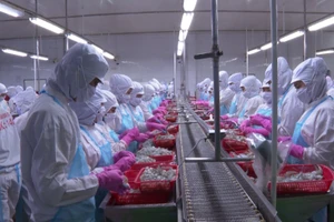 Kim ngạch xuất khẩu thủy sản của Cà Mau tăng 7,4% so với cùng kỳ. Ảnh: Quách Mến.