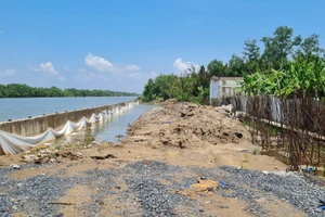 Sạt lở bờ sông đoạn thuộc địa bàn thị xã Giá Rai, Bạc Liêu.