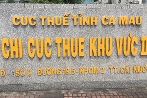 Bắt giam 2 lãnh đạo Chi cục Thuế ở Cà Mau